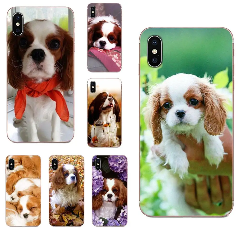 Для Apple iPhone 11 Pro X XS Max XR 4 4S 5 5C 5S SE SE2 6 6S 7 8 Plus задние Чехлы Гибридный кавалер Кинг