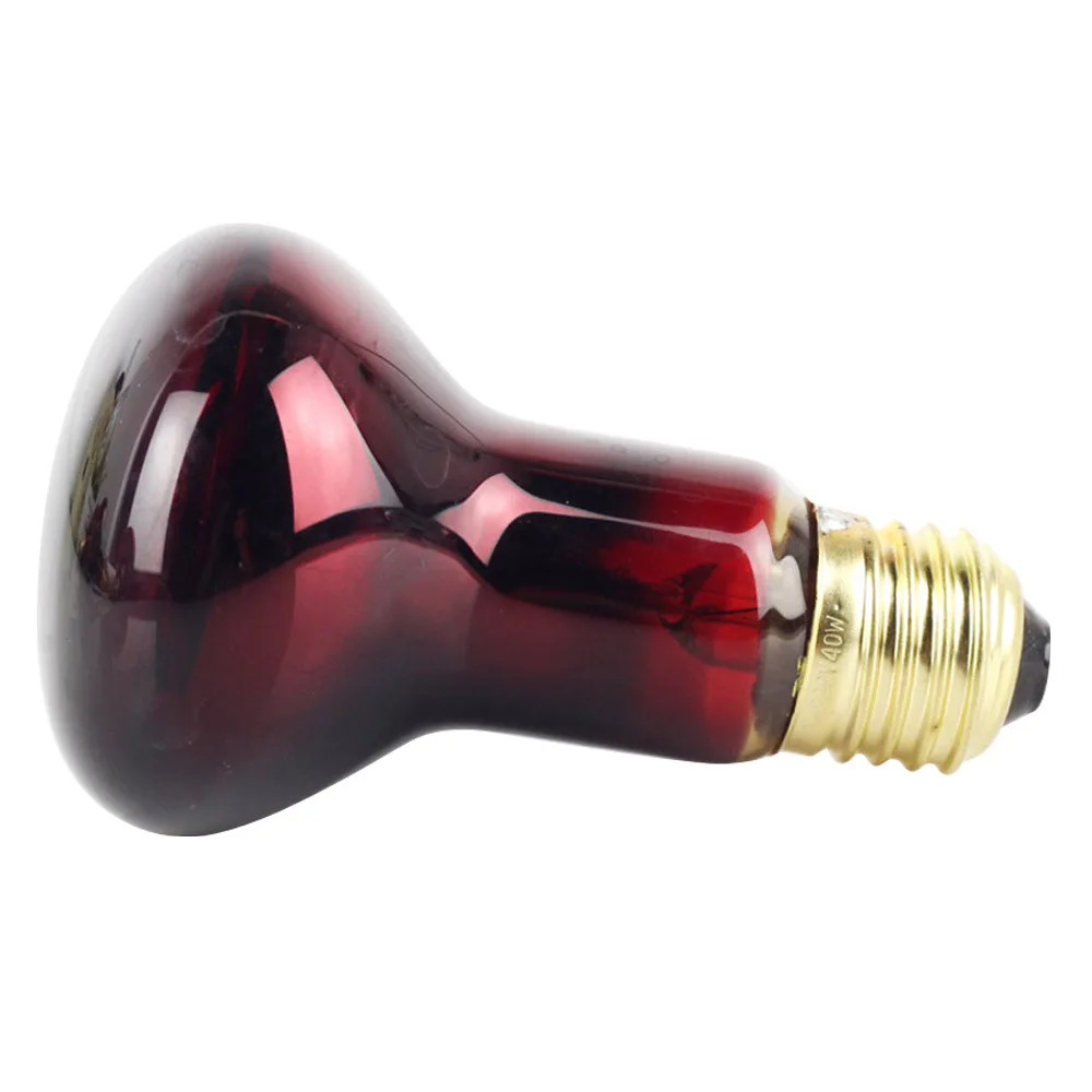

R63 Infrared Heating Lamp Heater Light Bulb For Turtle Lizard Reptile Snake Pet 220-240V Temperature Controller 40W 60W