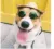 1ШТ Pet Cat Glasses Dog Glasses Pet Product For Little Dog Cat Eye-Wear Солнцезащитные Очки Отражение Фотографии Реквизит Pet Cat Аксессуары