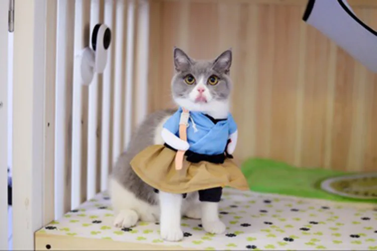 Factory Direct Selling Online Celebrity Douyin Celebrity Style Dog Pu Taro Funny Clothes Teddy Pet Clothes Funny-Wholesale