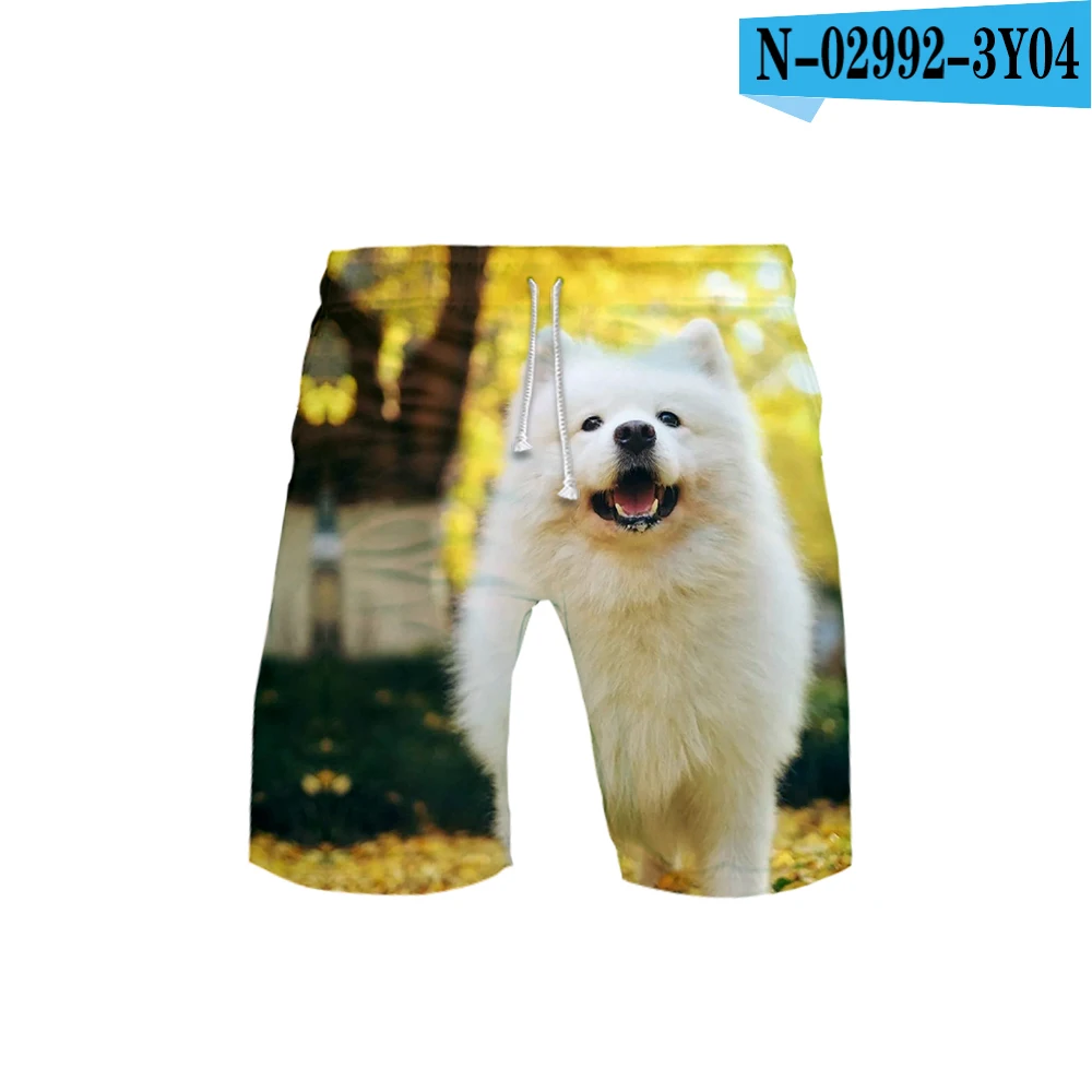 Женские 3D Samoyed templar 3D пляжные шорты Плавки летние быстросохнущие пляжные шорты женские шорты в стиле хип-хоп - Цвет: D