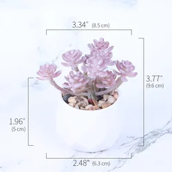 Elegant Pink Flocking Artificial Succulent in Decorative Pot - Perfect for Home and Garden Decor (3)