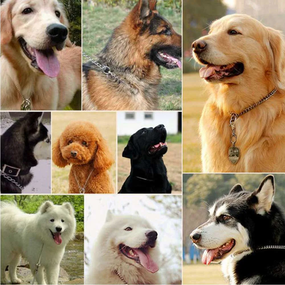 Metal-Stainless-Steel-Dog-Collar-Chain-Double-Row-Chrome-Plated-Choke-Training-Show-Collar-Adjustable-Safety (13)