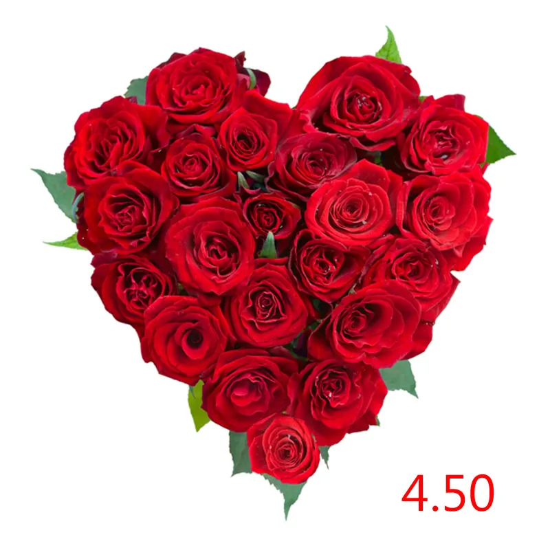 

Shipping Cost /Extra Fee /Repayment---4.50