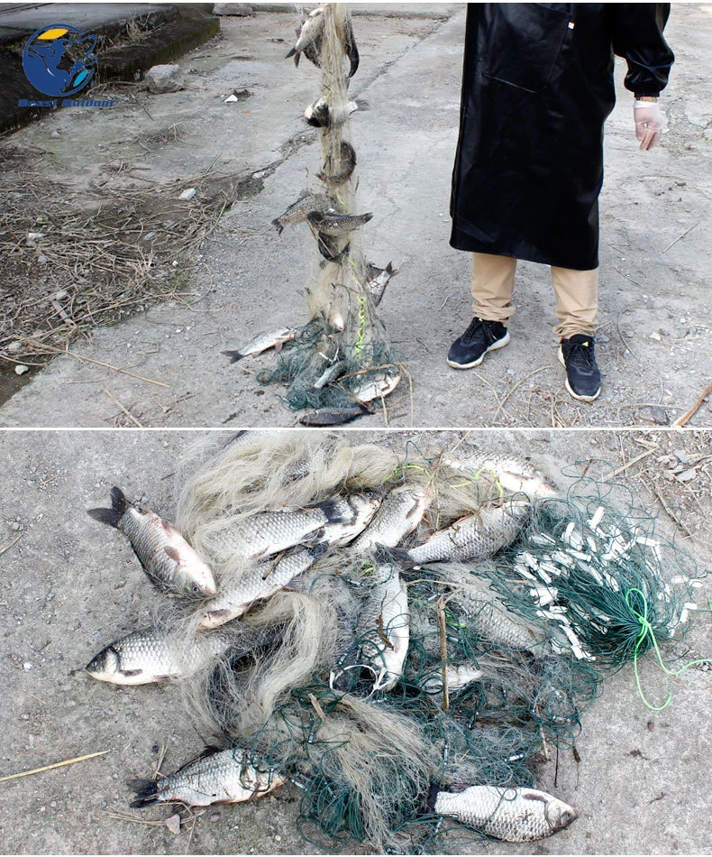 4075286611_1945748582