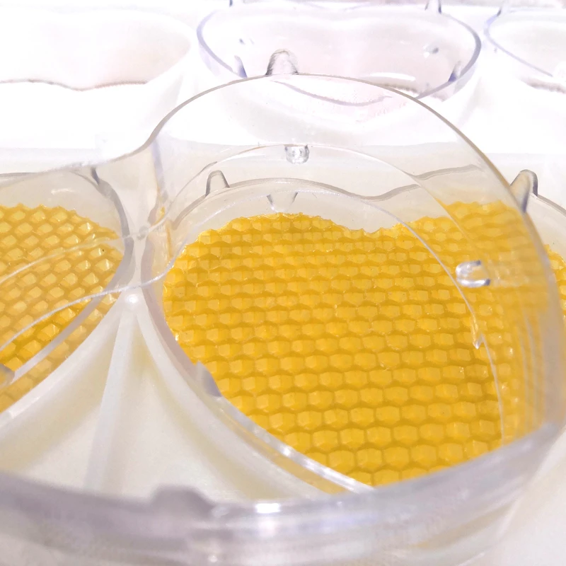 A Complete Heart Combhoney Cassette Kit With 8 Clear Transparent Cassette Boxes Beautiful 250G Capacity Clear Comb Honey Boxes