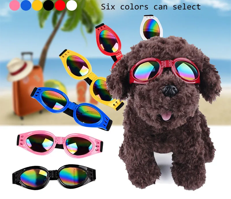 6608661807_181355791