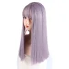 Synthetic High Temperature Fiber Long Straight Wigs for Women Purple Gray Green Wig With Bangs Natural African American Hair ► Photo 3/6