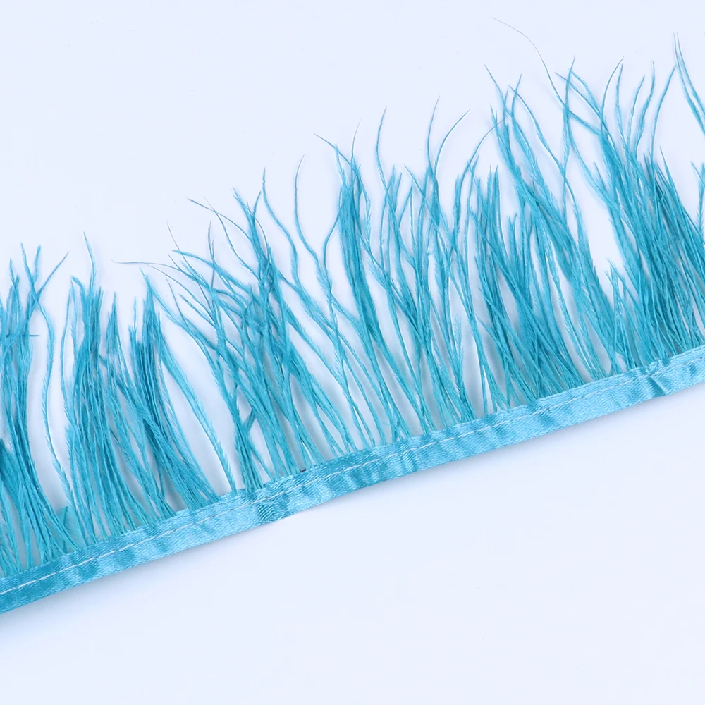 11 (2)