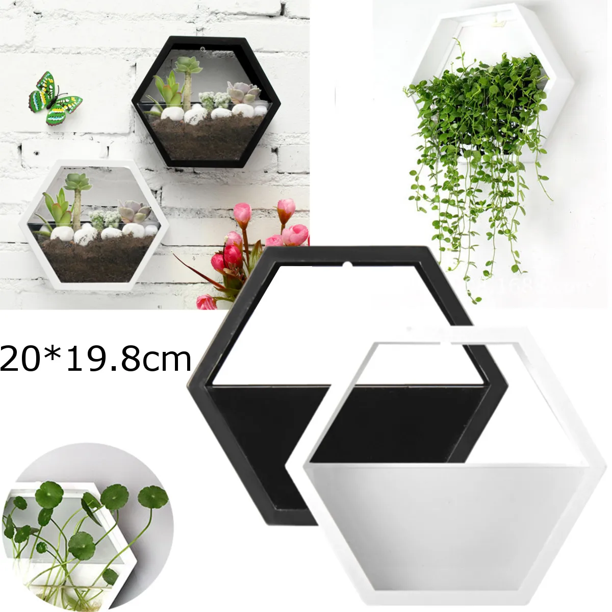 

Brief Handmade Acrylic Chlorophytum Flower Pot Hanging Wall Scindapsus Hydroponics Plant Vase Home Living Room Modern Decoration