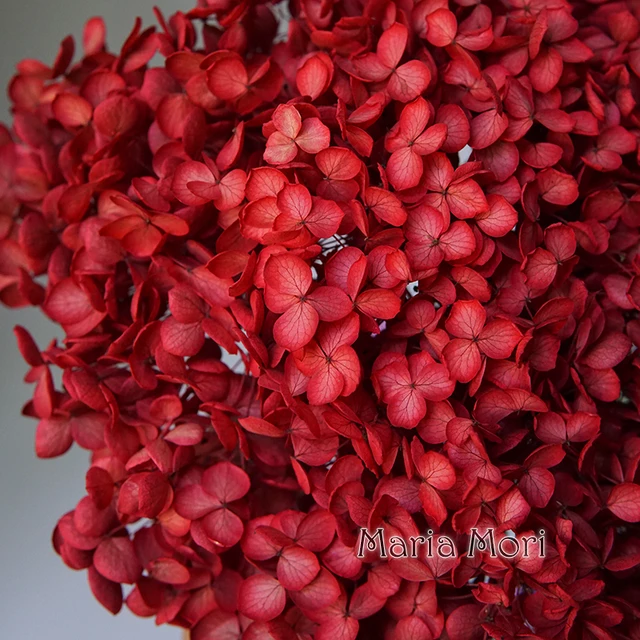 Anna Hydrangea  Flowers  Little  Leaves Preserved Hydrangea Decor  Office Decor  DIY Flowers Color S012