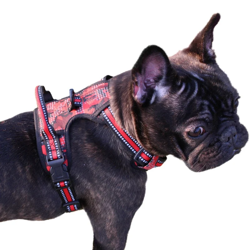 dog harness