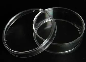 

150mm,Petri dish,Glass petri dishes,Brosilicate glass