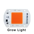 Grow Light