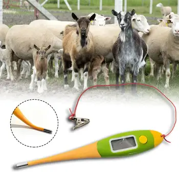 

Digital Thermometer Electronic Body Temperature Pig Dog Cow Sheep Hores Pet Special Fast Thermometer Soft Head Waterproof