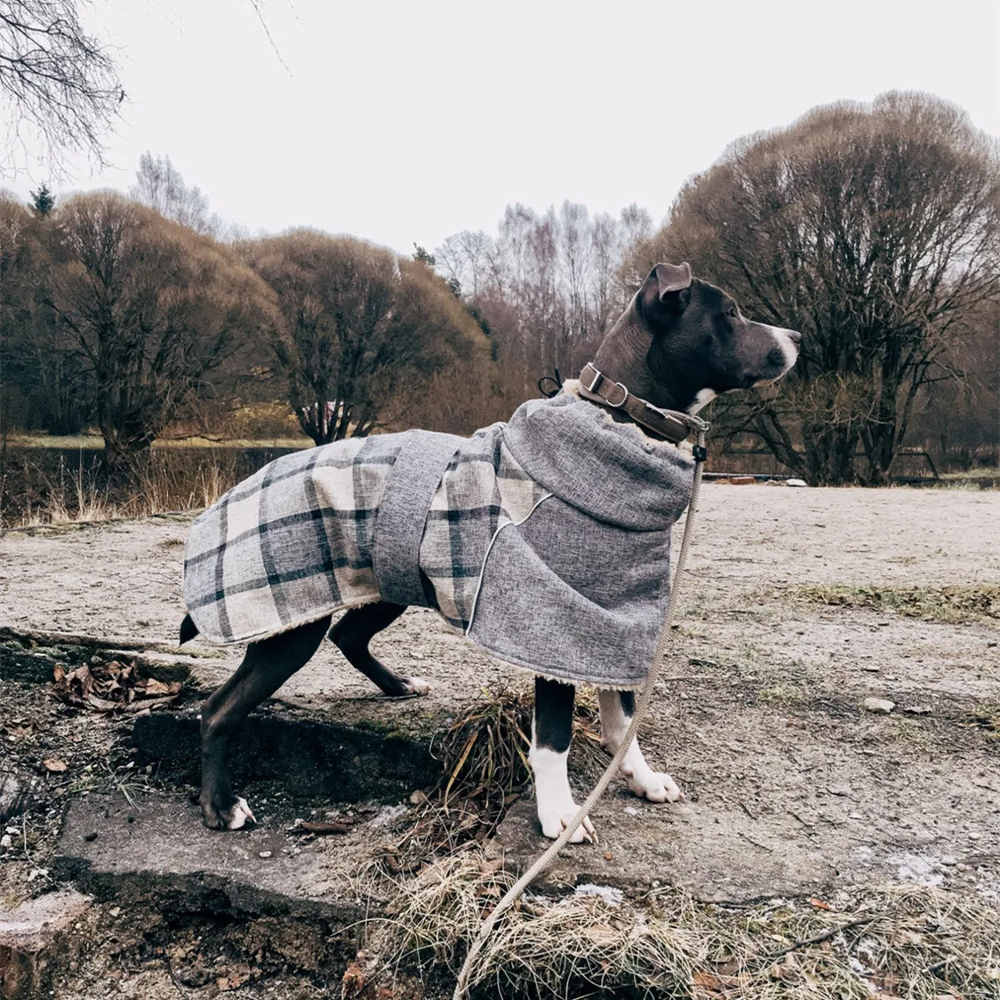 produtos para animais de estimação