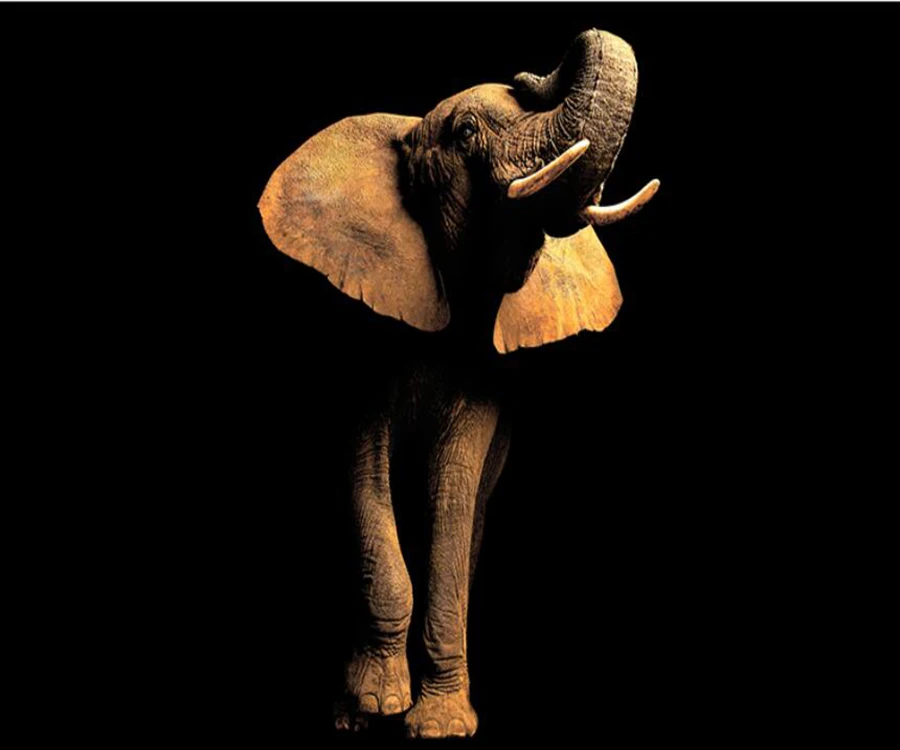 QQ截图20191023155727