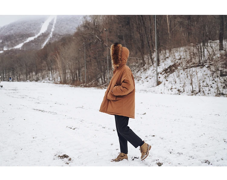 LAPPSTER Men Fur Warm Winter Jacket Mens Korean Hooded Puffer Jackets Coats Parka For Men Korean Fashions Thick Windbreaker