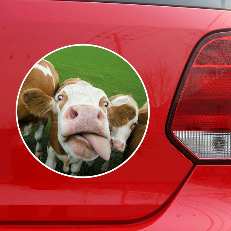 Funny Cow Calf Farm Farmer Animals  #37907 2 x Square Stickers 10 cm 