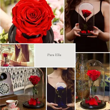 

Enchanted Rose Handmade Preserved Rose Glass Dome on Wood Base 67JB