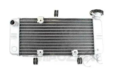 Сменный радиатор для мотоцикла Honda CB300F 2015-2018 CBR250R ABS 2011-2013 CBR300R 2015-2020 2019 |