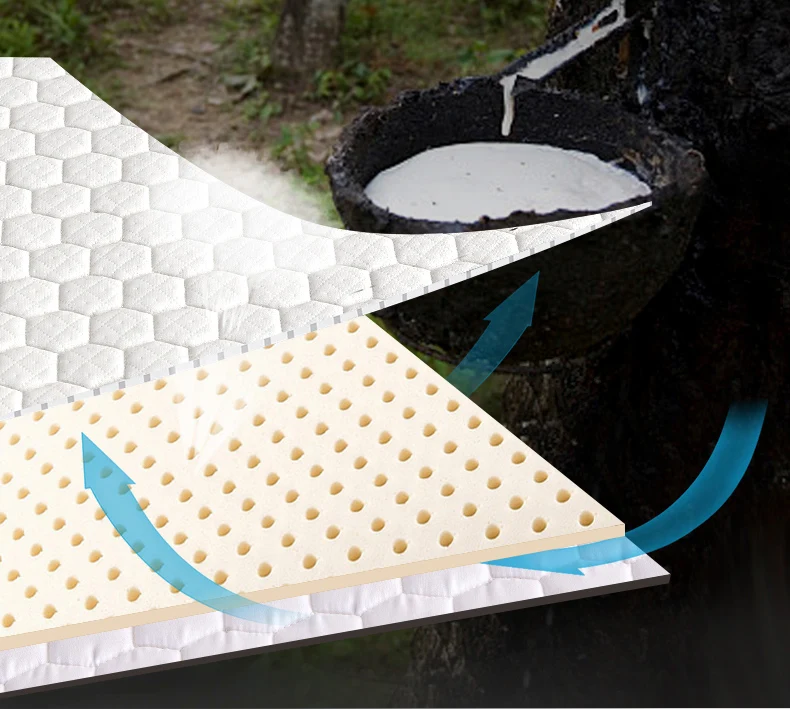 Description Picture 4 of itemDropshipping Customizable Size Mattress Soft Mattress Home Tatami Mat Was The Floor Mat Student ZHA13-2999