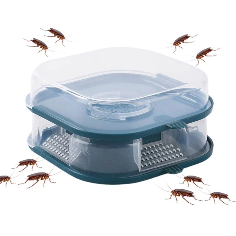 Chemical-Free Cockroach Management: Effective Strategies for a Pest-Free Home