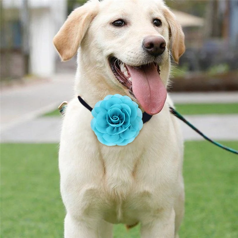 8cm Pet collar decoration big flower pet cat dog decoration flower party headwear pet collar accessories 30N11 (15)