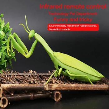 

Technology pet electric remote control toy mantis model grass simulation reptile zoo novelty tricky insect toy children gift