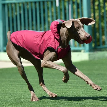 

Pet Dog Raincoat Reflective Dog Vest Jacket Spring And Summer Dog Raincoat Windproof Waterproof Clothes Lightweight Clothing T