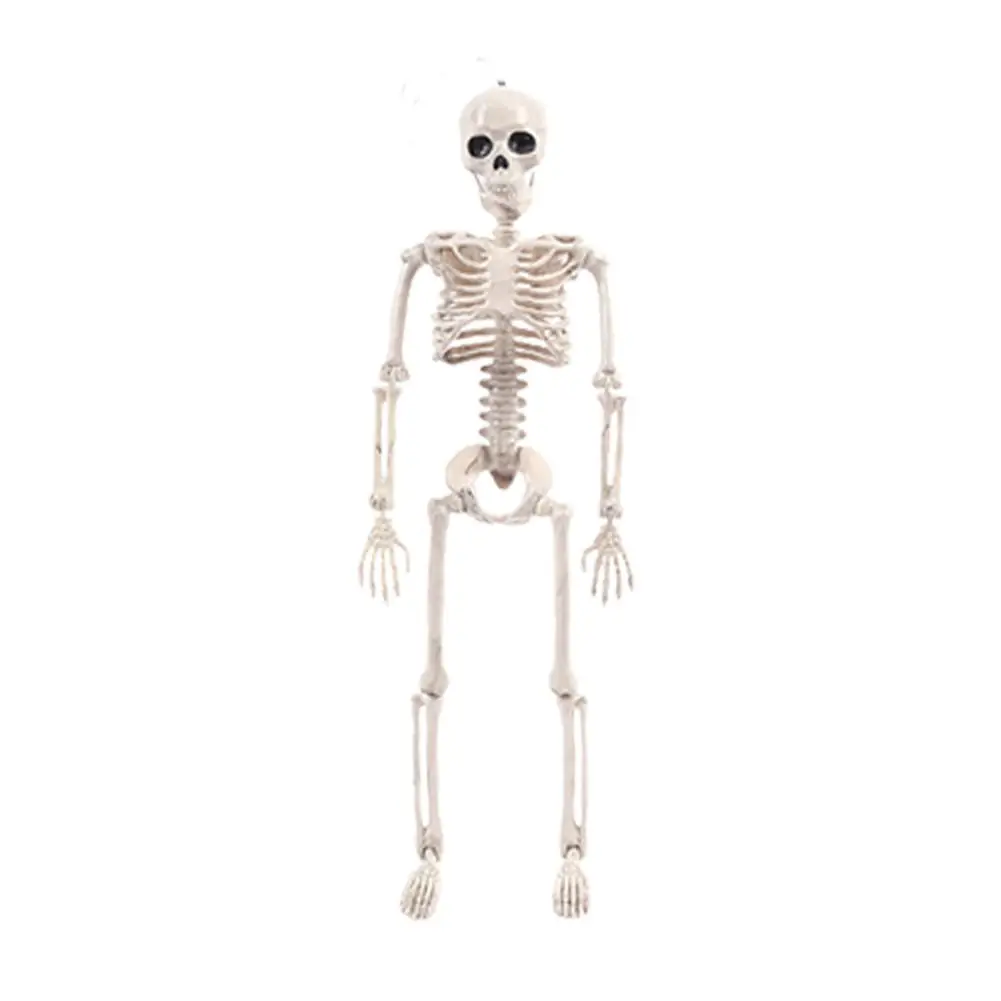 Poseable Skeleton Figure With Movable Joints Haunted House Props For Halloween Party Decoration