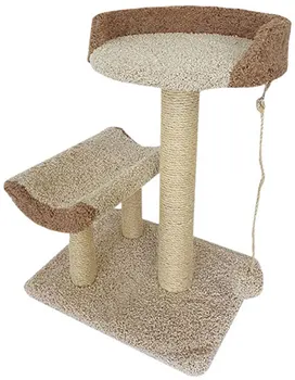 

Fluffy kittens Fluffy carpet Cook milk cappuccino