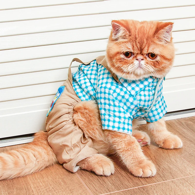 Зимний теплый комбинезон для кошек милая одежда щенков костюм кошки кошки| |