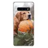 Mobile Phone Accessories