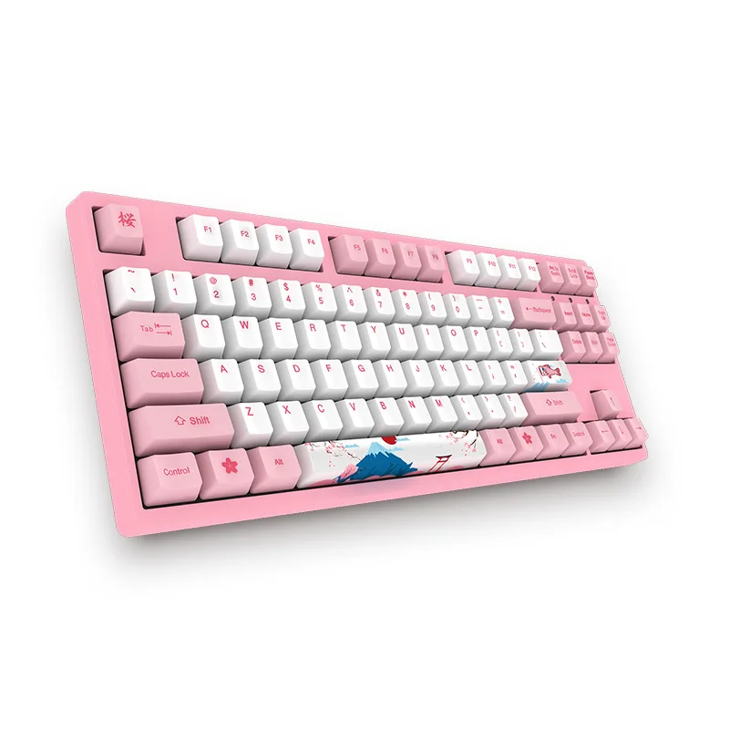 Akko 3087 World Tour-Tokyo 87 Keys Keyboard USB Wired PBT Keycaps Mechanical Gaming Keyboard for PC Laptop