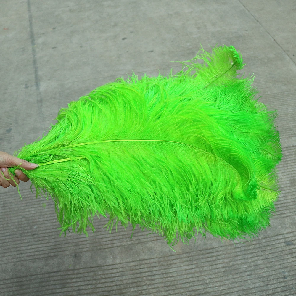 TS0165010 65-70cm ostrich feathers 2