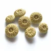 Sewing Buttons with Decorative Buckle, Hand-knitted Buttons, Vintage Gold Buttons, Suit Dress, Dance Dress, 5 PCs/Lot 5