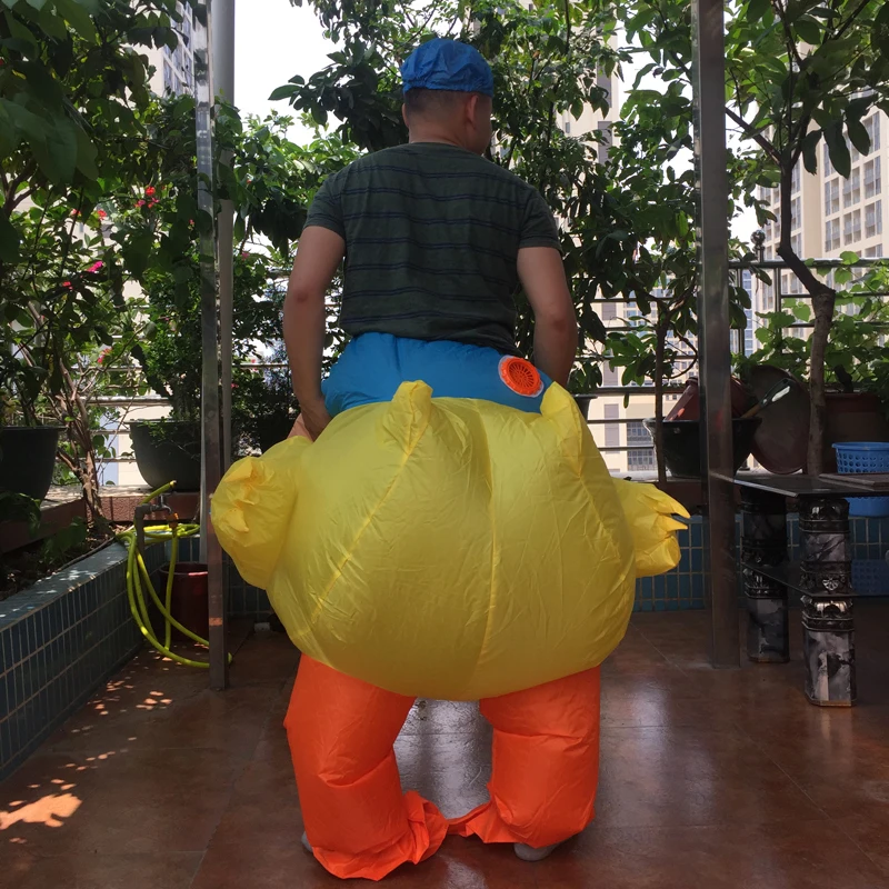 inflatable duck (20)