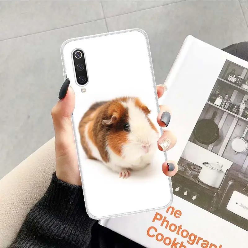 TR082-6 Милый голубой чехол для Xiao mi Red mi Note 7 8 Pro 8A 7A 5 5A 6A 4X S2 K20 mi 5X6X9 8 CC9 F1 из мягкого ТПУ для телефона - Цвет: TR082-6