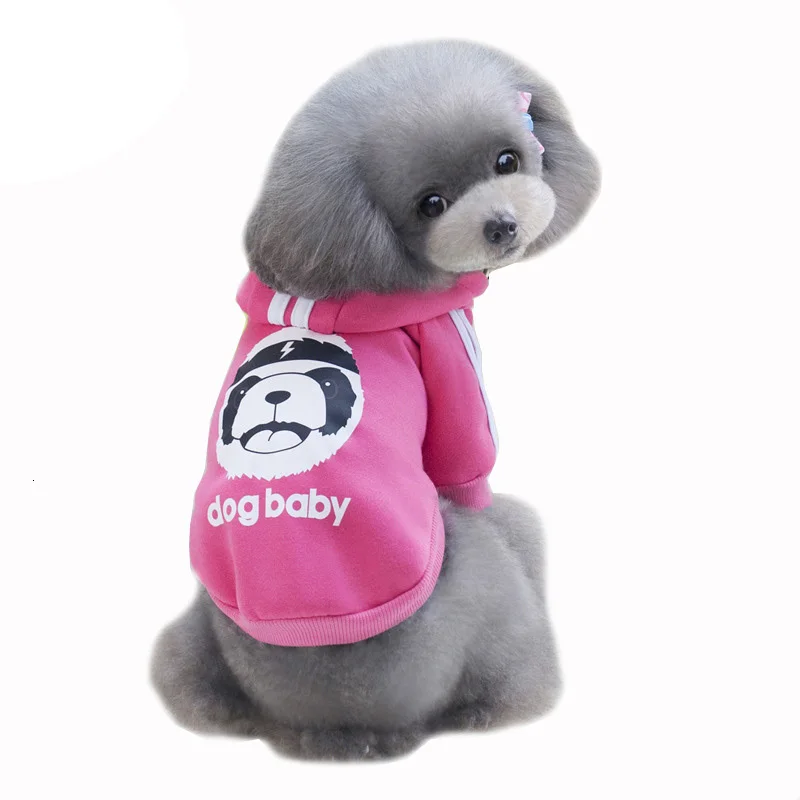 3884150047_277183843