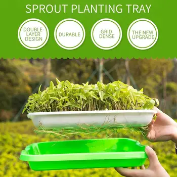 

Plant Germination Trays Sprout Tray Wheatgrass Grower Two-Tiered Planting Containers Soil-Free Sprout Grower Multifunction
