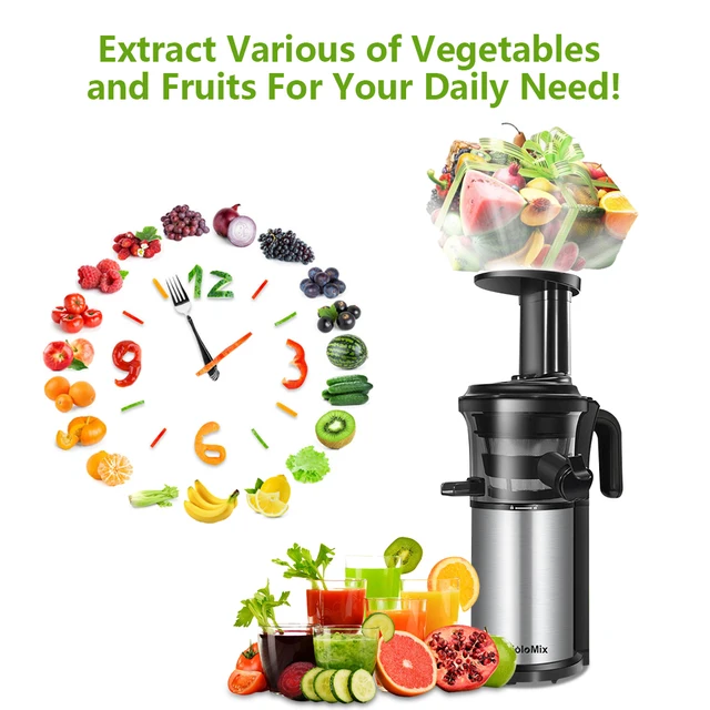 200W 40RPM Stainless Steel Masticating Slow Auger Juicer Fruit and Vegetable Juice Extractor Compact Cold Press Juicer Machine 3