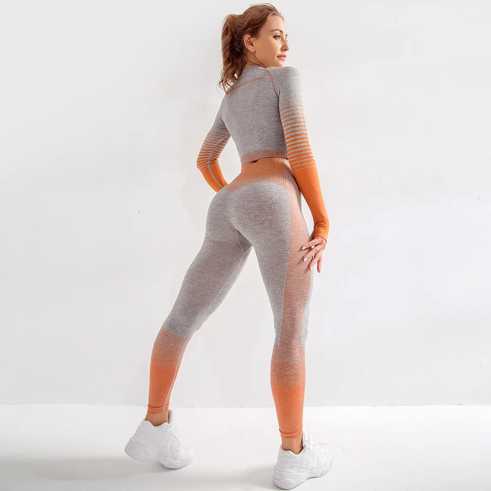 

2 uds Ombre Seamless Sport Suit mujeres de manga larga Crop Tops + alta cintura Control de barriga deporte Leggings Fitness Yoga