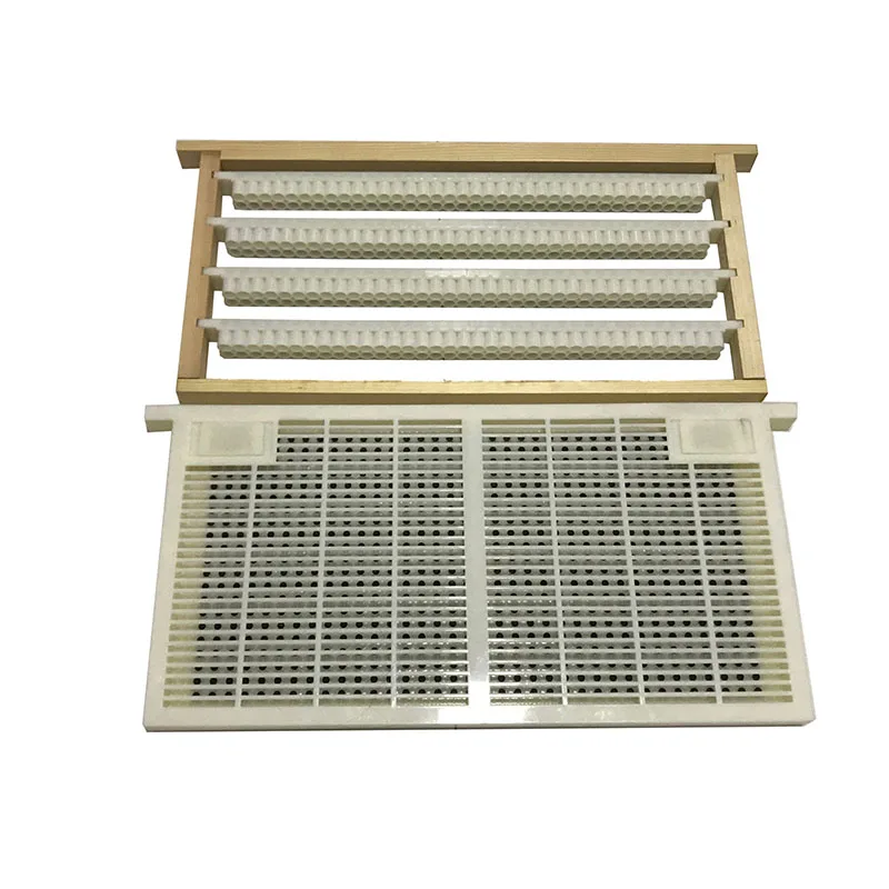 Queen Rearing System Bee Larva Cell Cups Frame Cage for cqr-3 Royal Jelly Production Equipment Beekeeping Tools Supplies 1set