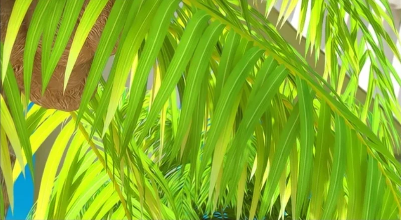 QQ截图20191221173259