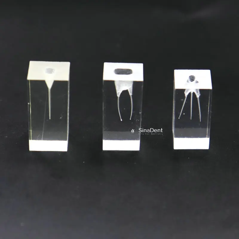 Тренировочный блок Endo 3 корневых канала для практики укоренения и наполнения 1 шт.