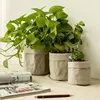 Garden Supplies