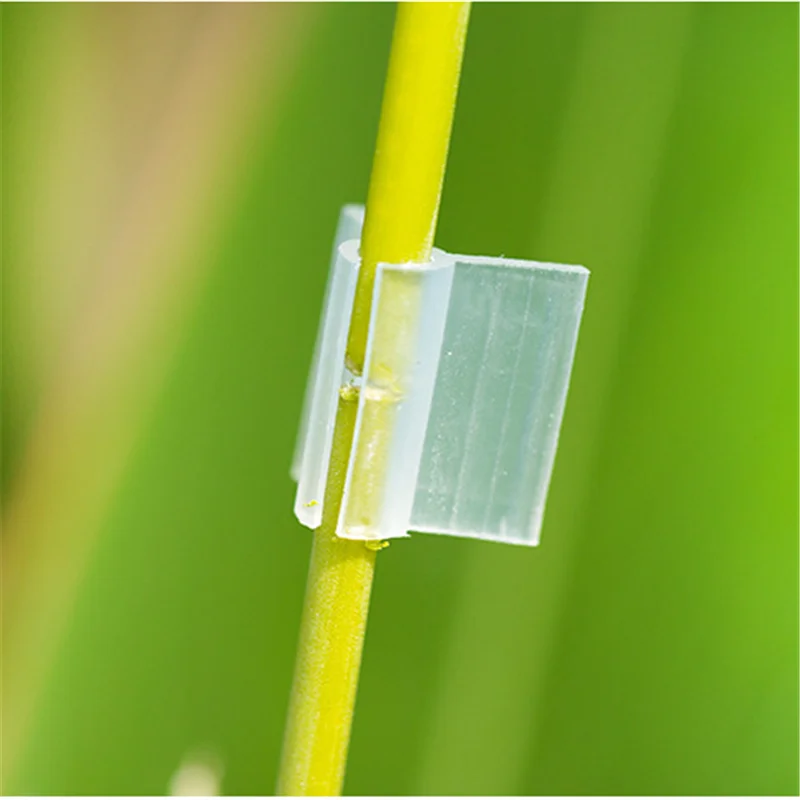 QQ截图20200206110935_副本