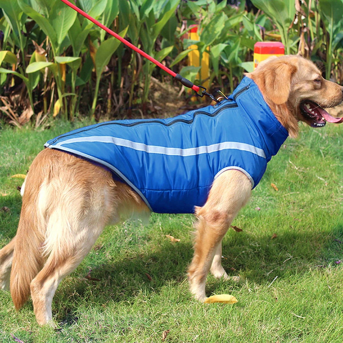 Abrigo para perro, chaqueta para mascota, traje de invierno para chaleco con arnés con agujero, ropa impermeable para perro con tiras reflectantes y cremallera|Abrigos y chaquetas para perro| - AliExpress