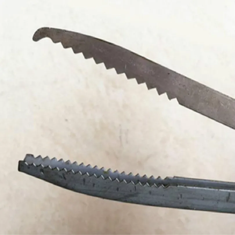 L 42CM 52CM stainless steel snake tongs reptile accessories free shipping